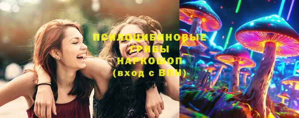 метадон Алексин